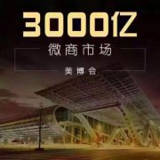 上億微商相聚移動(dòng)電商交易會(huì) 美博會(huì)再添新力